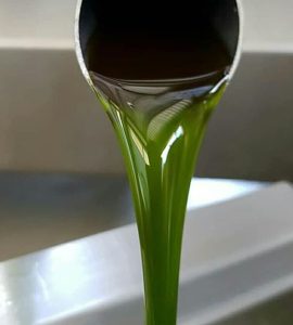 ¿Qué son los tocoferoles del aceite?
