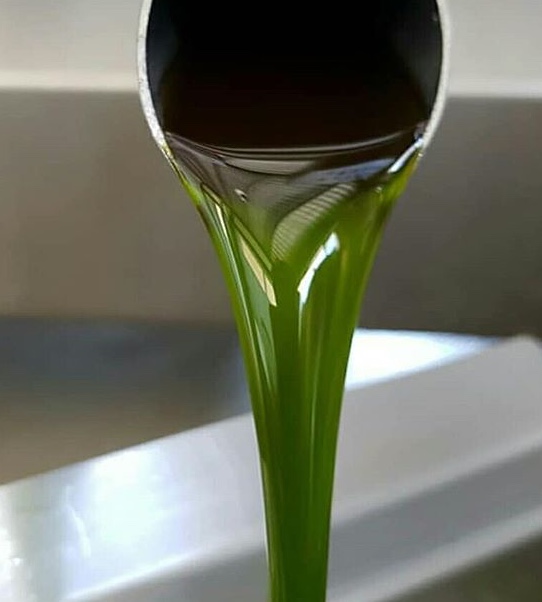 ¿Qué son los tocoferoles del aceite?