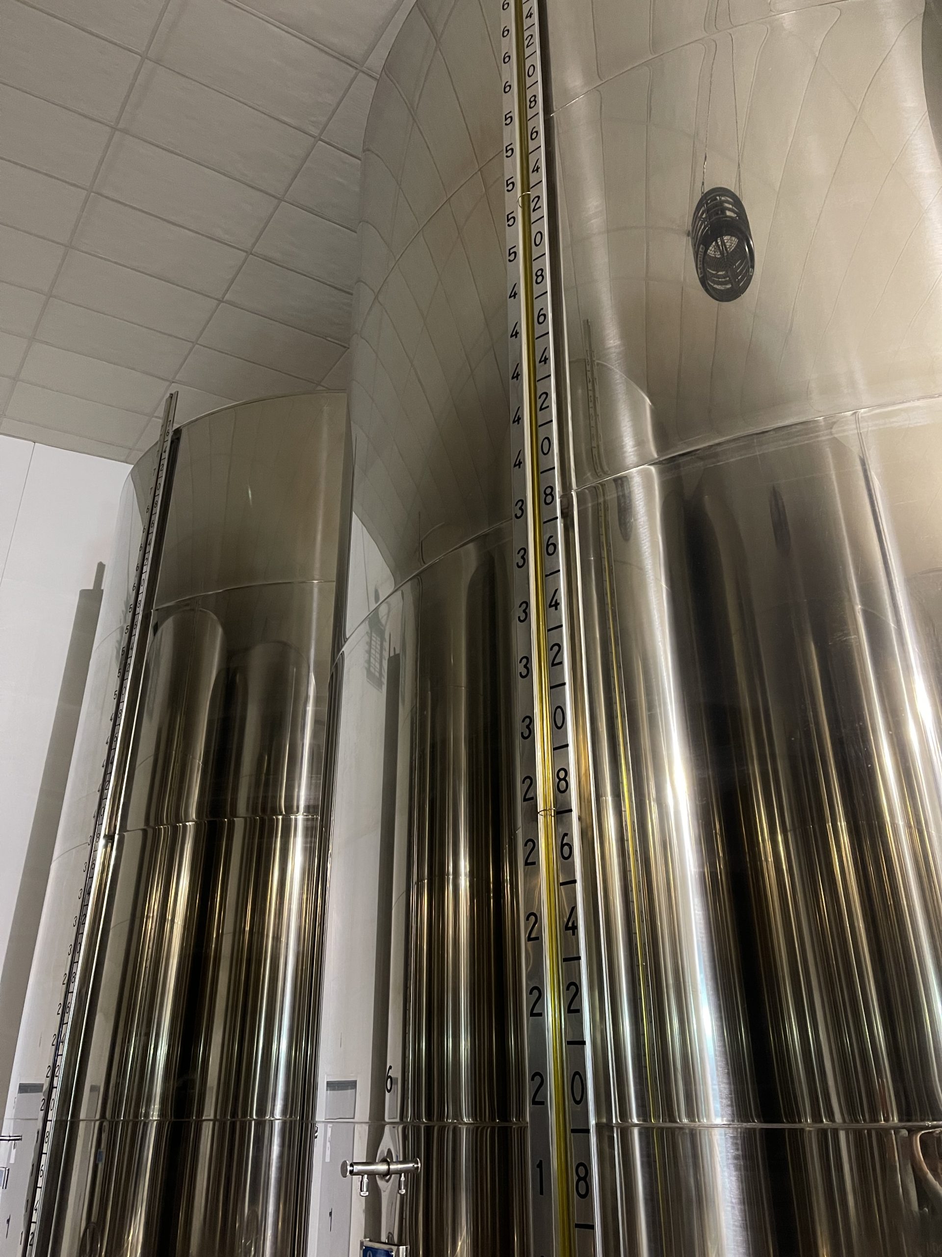 Qué es una almazara: origen, funciones y curiosidades 4 fábrica de aceite