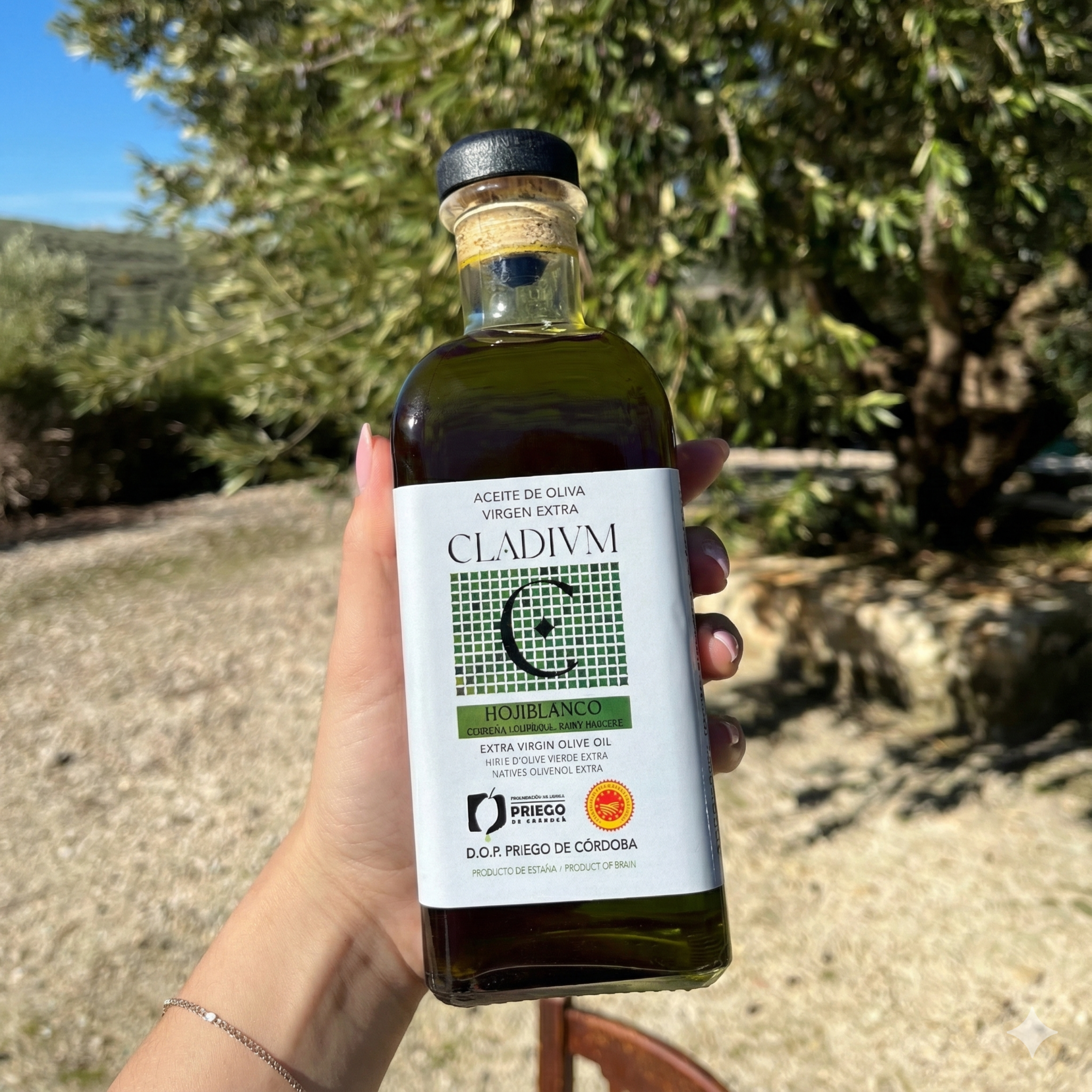 AOVE Cosecha Temprana 25 - 26 | Edición limitada 2 Aceite de Oliva Virgen Extra Premium Nueva Cosecha 2025 - 2026 CLADIVM
